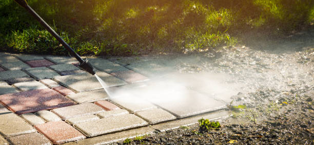 Best Driveway Pressure Washing  in Lofall, WA
